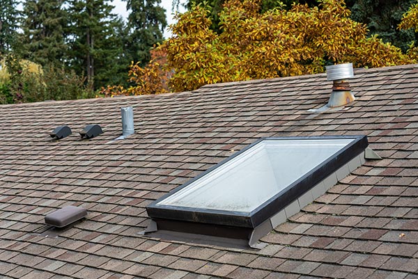 Residential Skylight Roof