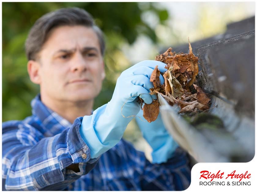 Seasonal Gutter Maintenance Tips to Keep in Mind